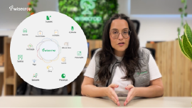 Como funciona o Wisecrop?