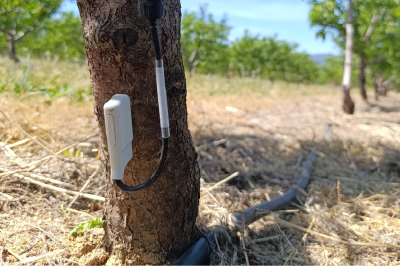 devices_sap