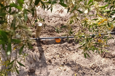 devices_soil_moisture