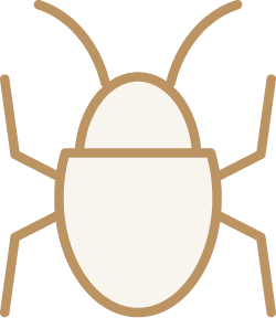 Praga icon