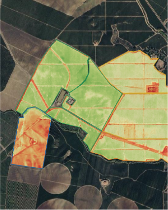 Mapeamento NDVI