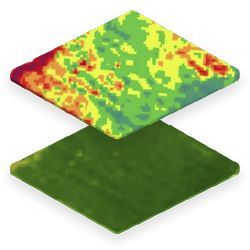 ndvi