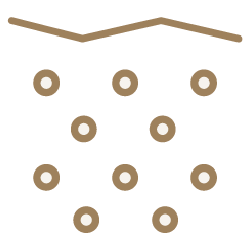 soil